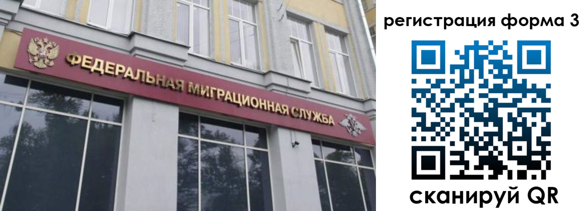 найти адрес прописки в Петропавловске-Камчатском