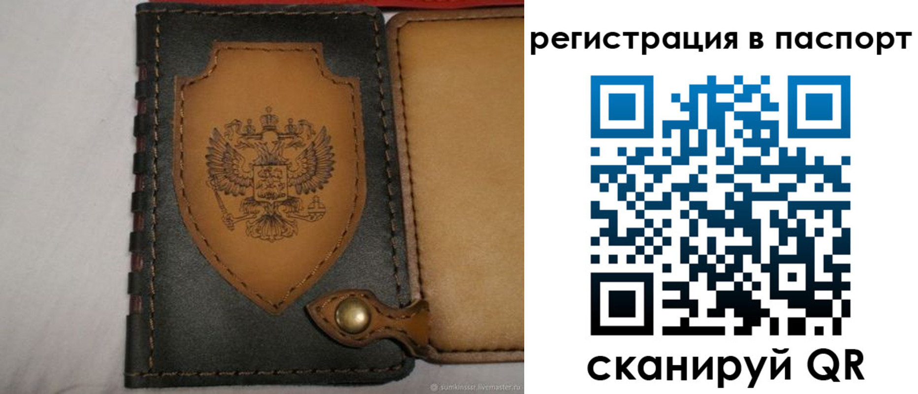регистрация для школы в Петропавловске-Камчатском